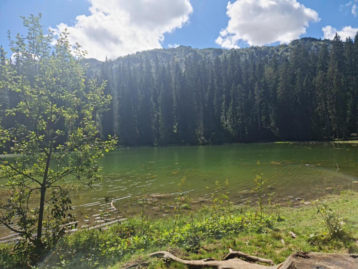 Holiday Home Mountain Жабляк Экстерьер фото